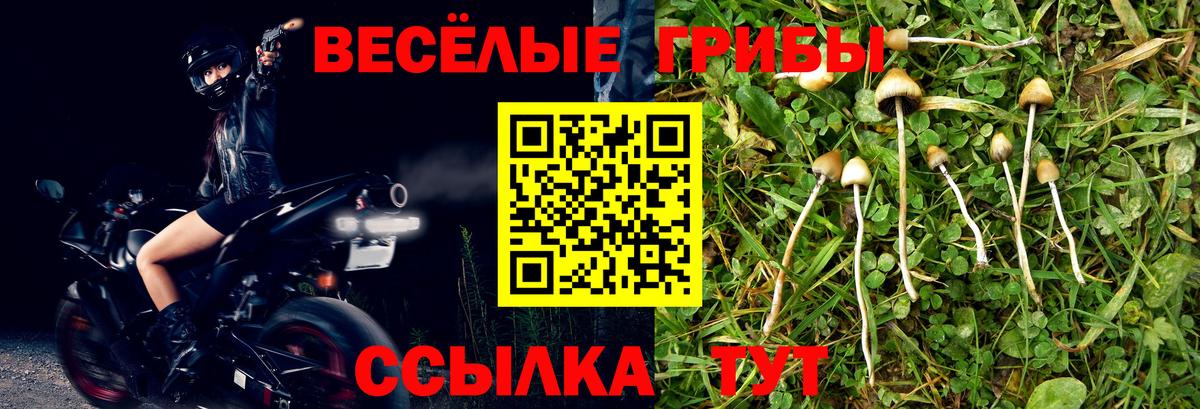 Янаул  Псилоцибиновые грибы прущие грибы  купить  цена  Псилоцибиновые грибы мухоморы  Вход с VPN 